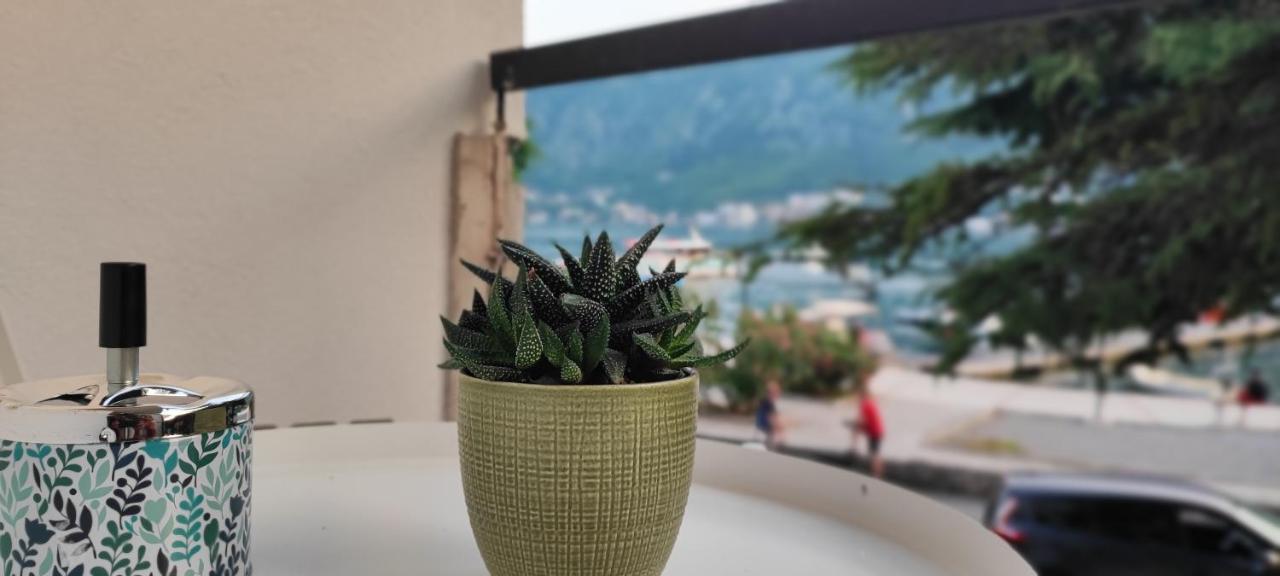 Apartman Lubarda Apartment Kotor Bagian luar foto